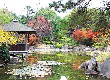 いなみ野万葉の森