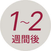 1~2週間後