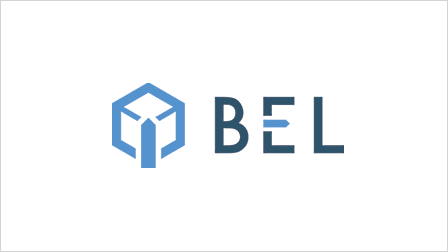 情報分析基礎力検査 BEL