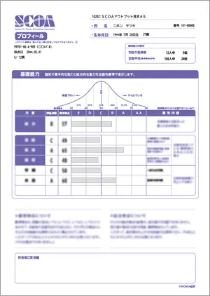 結果報告書