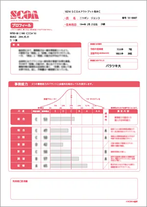 結果報告書