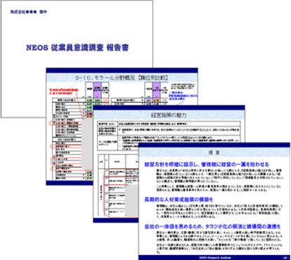 全体概要報告書