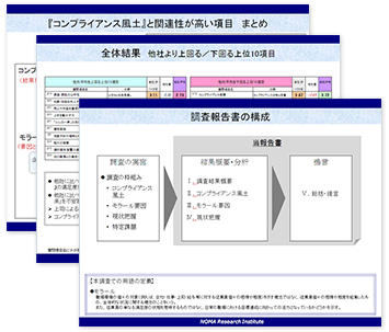 全体概要報告書