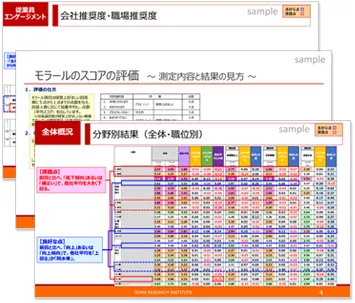 全体概要報告書