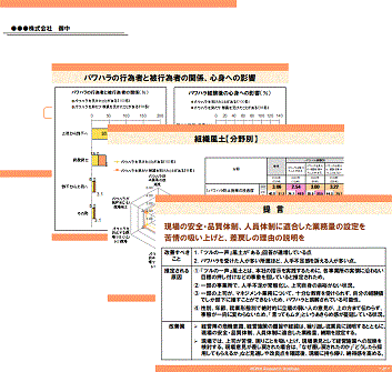 全体概要報告書 (オプション)